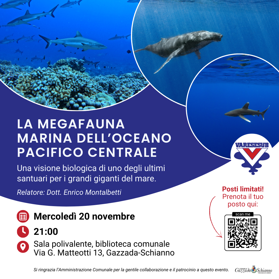 La megafauna marina dell’Oceano Pacifico centrale